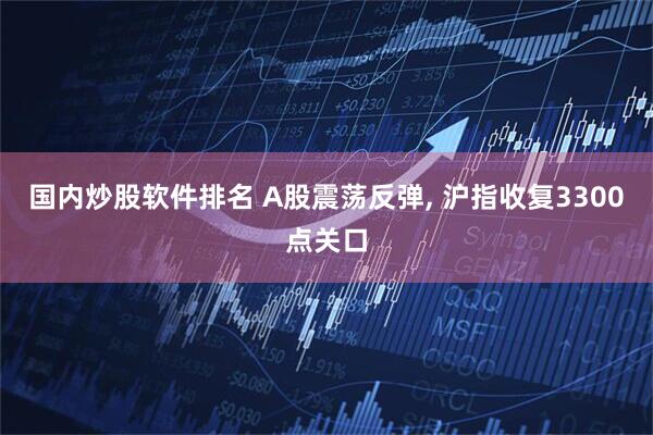 国内炒股软件排名 A股震荡反弹, 沪指收复3300点关口