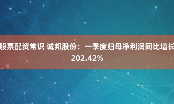 股票配资常识 诚邦股份：一季度归母净利润同比增长202.42%