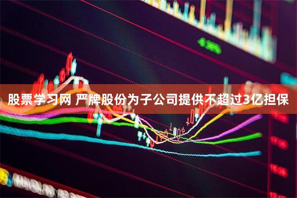 股票学习网 严牌股份为子公司提供不超过3亿担保