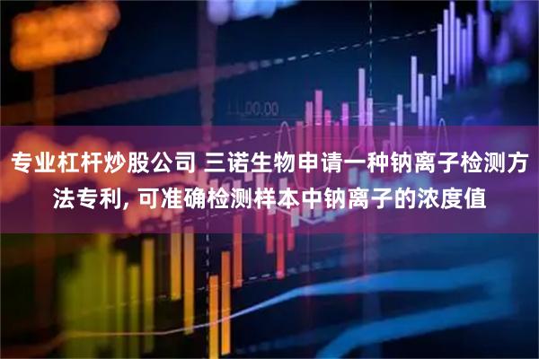 专业杠杆炒股公司 三诺生物申请一种钠离子检测方法专利, 可准确检测样本中钠离子的浓度值